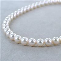 Halskette Casciola Gioielli Dame PERLE AKOYA in Perlen Perla 55398583